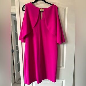 Fuchsia dress with gold detail. Size 16.